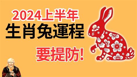 屬兔 2024|2024生肖兔整年運勢一次看！多注意健康、主動做一。